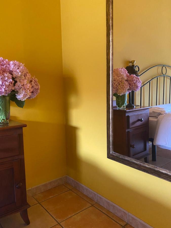 Casa rural San Pedro *